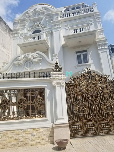 Hình ảnh cho thuê biệt thự dt 10x20m đường lê quang định