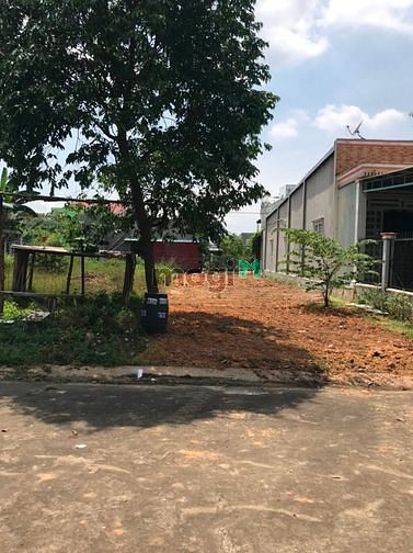 Hình ảnh KD thua lỗ bán gấp lô đất 150m2(5x30) giá 7tr2/m2
