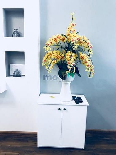 Hình ảnh Cho thuê CH Mường Thanh 1 PN 9 -10 tr/ tháng, 2 PN chỉ từ 11 tr/ tháng