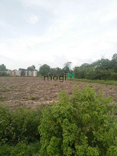 Hình ảnh Cần bán đất phân lô 1 xẹc Võ Văn Điều - xã Phước Thạnh - Củ Chi