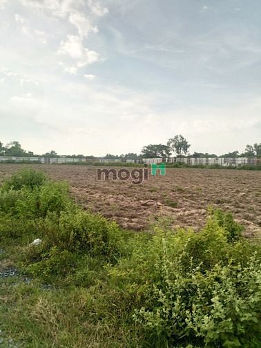 Hình ảnh Cần bán đất phân lô 1 xẹc Võ Văn Điều - xã Phước Thạnh - Củ Chi