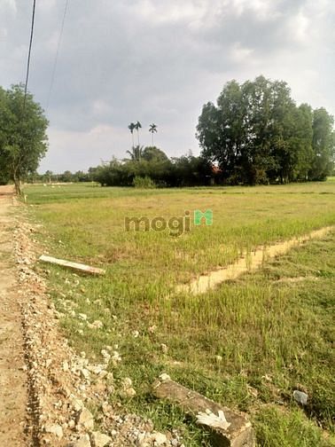 Hình ảnh Cần bán đất xã Phước Hiệp - Củ Chi