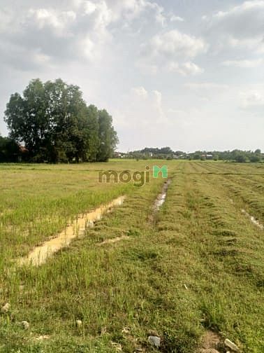 Hình ảnh Cần bán đất xã Phước Hiệp - Củ Chi