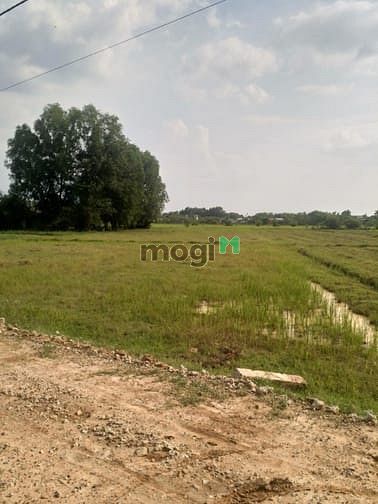 Hình ảnh Cần bán đất xã Phước Hiệp - Củ Chi