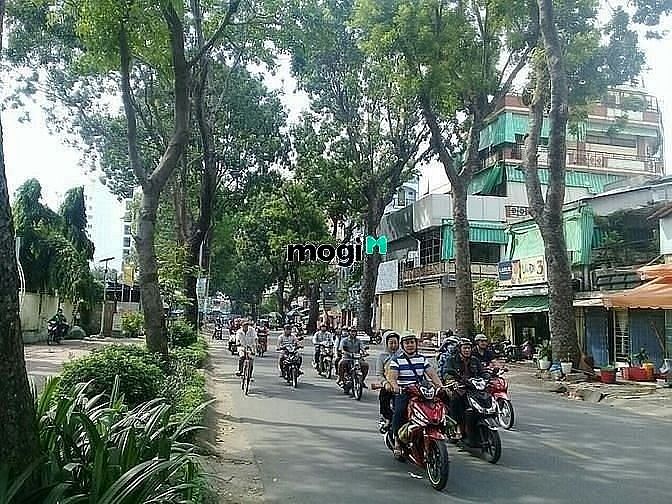Hình ảnh cho thuê biêt thự 20x25 biet thư đẹp có sâ vườn