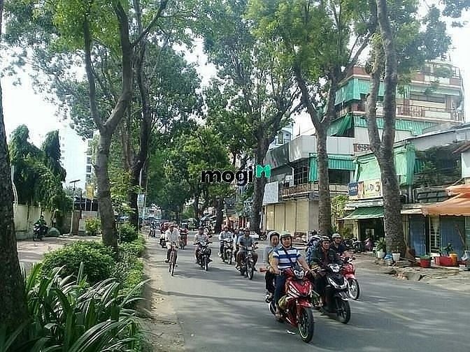 Hình ảnh cho thuê biêt thự 20x25 biet thư đẹp có sâ vườn| Có nhà