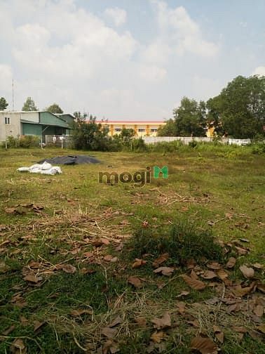 Hình ảnh Cần bán đất mặt tiền đường Nguyễn Thị Cần - xã Trung Lập Hạ - Củ Chi