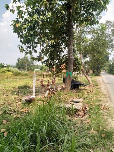 Hình ảnh Cần bán đất mặt tiền đường Nguyễn Thị Cần - xã Trung Lập Hạ - Củ Chi