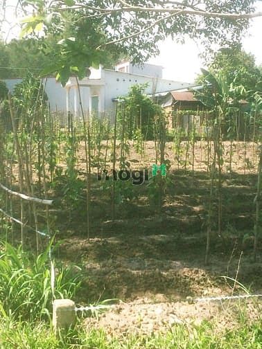 Hình ảnh Sang gấp 3 lô đất thổ vườn Xã Vĩnh Thanh Nhơn Trạch, ĐN, SHR, Gía rẻ