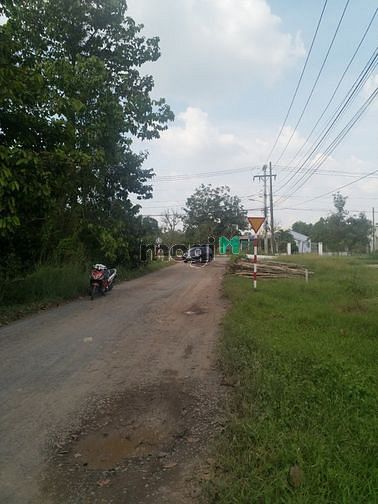 Hình ảnh Cần bán đất mặt tiền đường Trần Thị Hải - xã Tân An Hội - Củ Chi