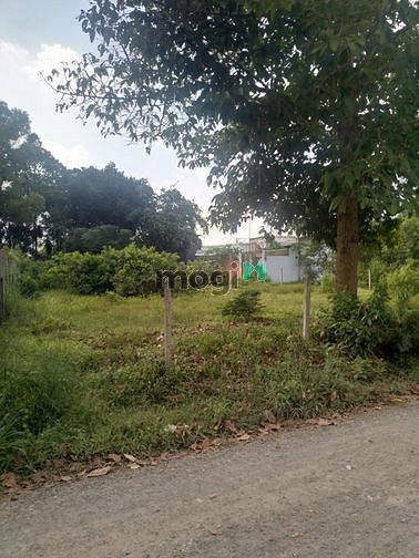 Hình ảnh Cần bán đất mặt tiền đường Trần Thị Hải - xã Tân An Hội - Củ Chi