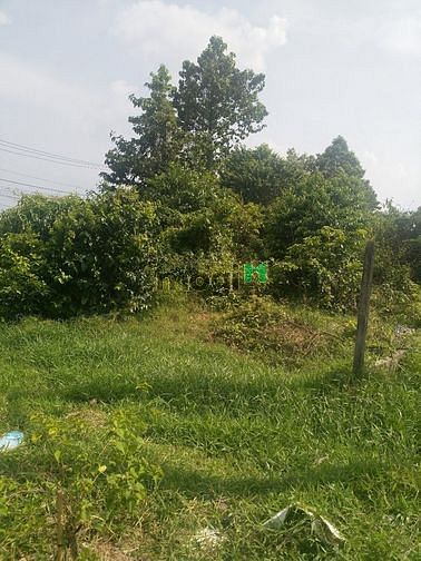 Hình ảnh Cần bán đât 2 mặt tiền đường Lê Minh Nhựt - xã Tân An Hội - Củ Chi