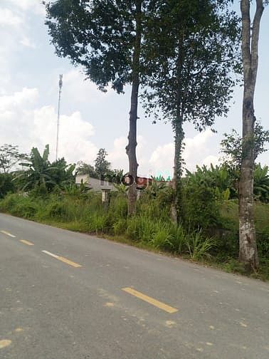 Hình ảnh Cần bán đất mặt tiền đường Bùi Thị Điệt - xã Phạm Văn Cội - Củ Chi