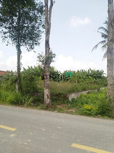 Hình ảnh Cần bán đất mặt tiền đường Bùi Thị Điệt - xã Phạm Văn Cội - Củ Chi