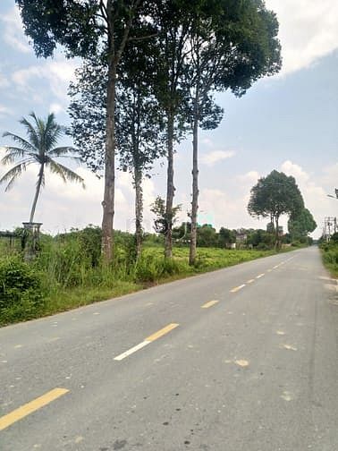 Hình ảnh Cần bán đất mặt tiền đường Bùi Thị Điệt - xã Phạm Văn Cội - Củ Chi