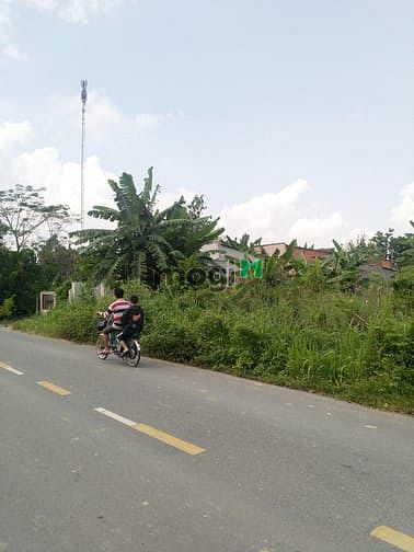 Hình ảnh Cần bán đất mặt tiền đường Bùi Thị Điệt - xã Phạm Văn Cội - Củ Chi