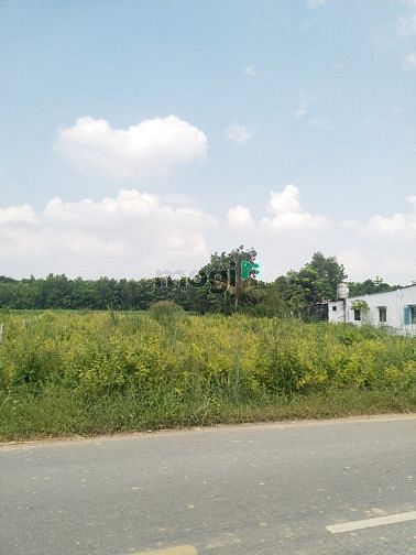 Hình ảnh Cần bán đất mặt tiền đường Bùi Thị Điệt - xã Phạm Văn Cội - Củ Chi