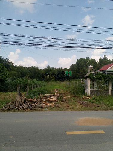 Hình ảnh Cần bán đất mặt tiền đường Bùi Thị Điệt - xã Phạm Văn Cội - Củ Chi