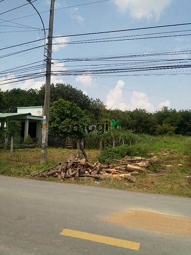 Hình ảnh Cần bán đất mặt tiền đường Bùi Thị Điệt - xã Phạm Văn Cội - Củ Chi