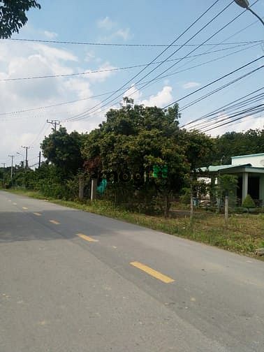 Hình ảnh Cần bán đất mặt tiền đường Bùi Thị Điệt - xã Phạm Văn Cội - Củ Chi