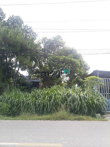 Hình ảnh Cần bán đất mặt tiền đường Bùi Thị Điệt - xã Phạm Văn Cội - Củ Chi