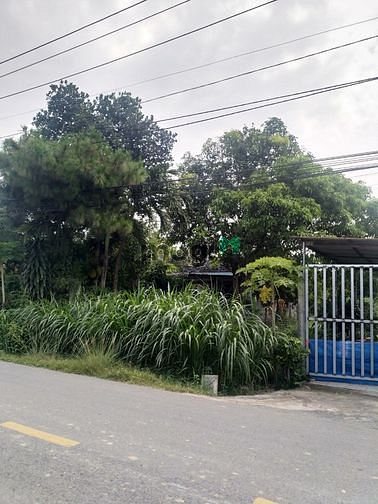 Hình ảnh Cần bán đất mặt tiền đường Bùi Thị Điệt - xã Phạm Văn Cội - Củ Chi