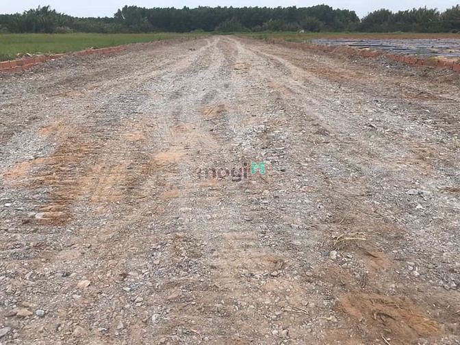 Hình ảnh Cần ra nhanh lô đất Nhơn Trạch, đường xe container tới đất, cam kết rẻ
