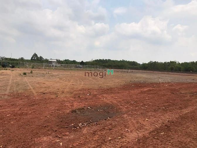 Hình ảnh Cần ra nhanh lô đất Nhơn Trạch, đường xe container tới đất, cam kết rẻ