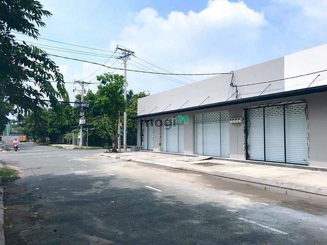 Hình ảnh Cho Thuê Biệt Thự Mini, DT: 8x20m, Đường Nguyển Hữu Dật, Tân Phú.