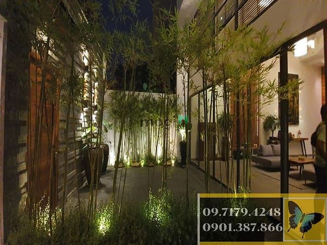 Hình ảnh Biệt thự 257 Đường C2, Bình Trưng Đông, quận 2