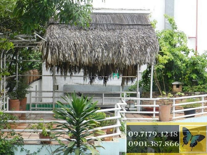 Hình ảnh Biệt thự 300 Thảo Điền, Khu phố 2, Thảo Điền, quận 2
