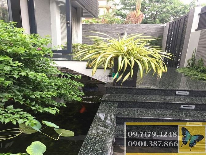 Hình ảnh Biệt thự 393 Đường Số 8, An Phú, quận 2