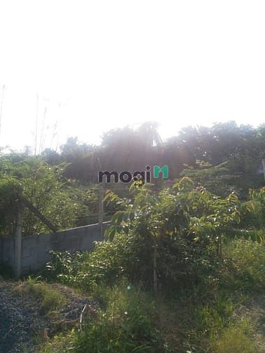 Hình ảnh Cần bán đất mặt tiền đường Nhuận Đức - xã Nhuận Đức - Củ Chi