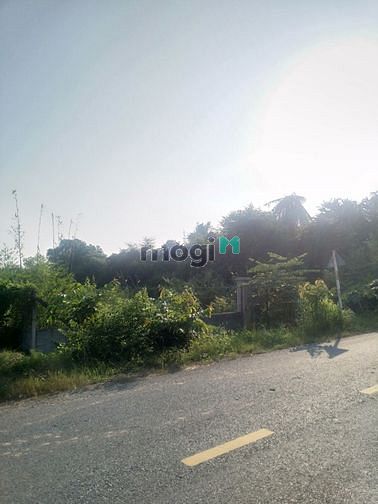 Hình ảnh Cần bán đất mặt tiền đường Nhuận Đức - xã Nhuận Đức - Củ Chi
