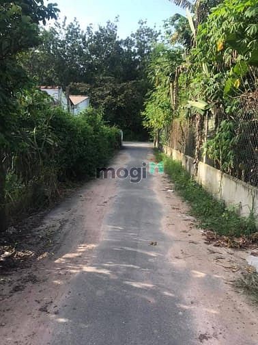 Hình ảnh Cần bán đất mặt tiền đường nhựa - xã Tân Thạnh Đông - Củ Chi