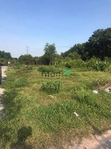 Hình ảnh Cần bán đất mặt tiền đường nhựa - xã Tân Thạnh Đông - Củ Chi