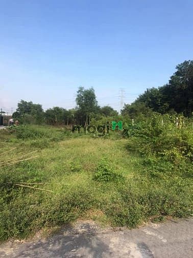 Hình ảnh Cần bán đất mặt tiền đường nhựa - xã Tân Thạnh Đông - Củ Chi