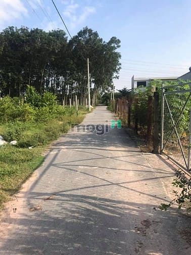 Hình ảnh Cần bán đất mặt tiền đường nhựa - xã Tân Thạnh Đông - Củ Chi