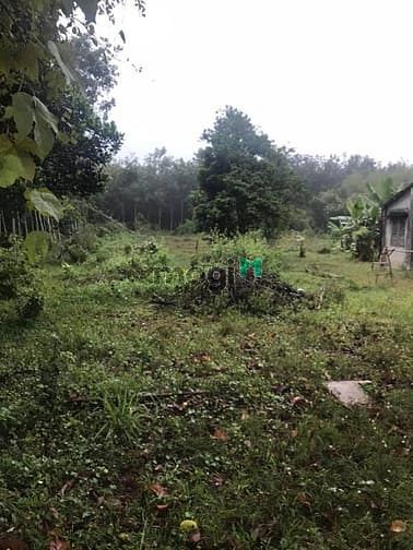 Hình ảnh Cần bán đất mặt tiền đường Bà Thiên - xã Nhuận Đức - Củ Chi