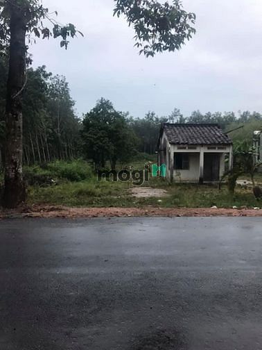 Hình ảnh Cần bán đất mặt tiền đường Bà Thiên - xã Nhuận Đức - Củ Chi