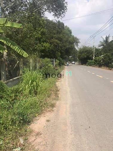 Hình ảnh Cần bán đất mặt tiền đường Nguyễn Thị Lắng - xã Phước Vĩnh An - Củ Chi