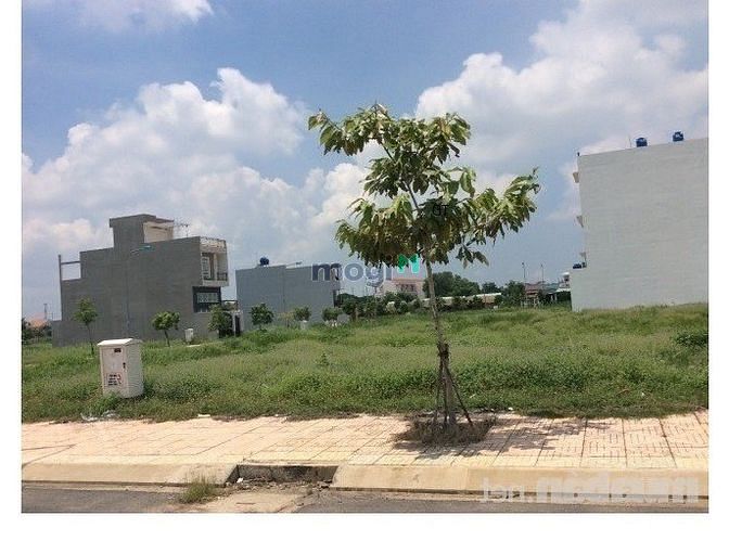 Hình ảnh Cho Thuê Đất mặt tiền đường Lương Định Của , Giá 180 triệu 1000m2 .