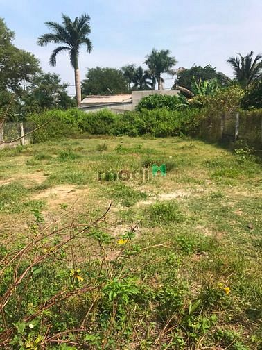 Hình ảnh Cần bán đất xã Phước Vĩnh An - Củ Chi