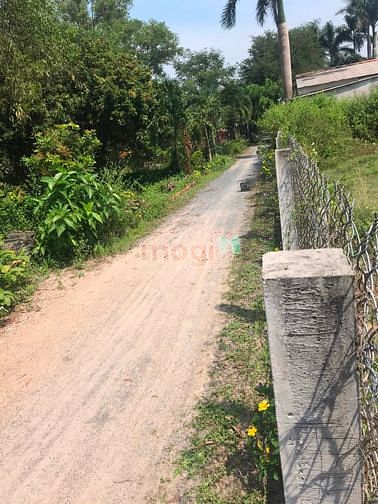 Hình ảnh Cần bán đất xã Phước Vĩnh An - Củ Chi