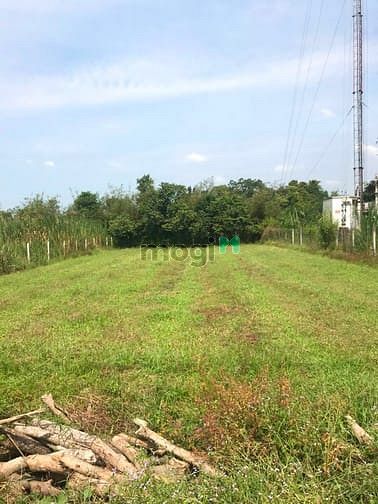 Hình ảnh Cần bán đất mặt tiền đường Gốc Rưng - xã An Nhơn Tây - Củ Chi