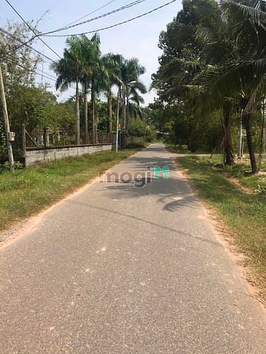 Hình ảnh Cần bán đất mặt tiền đường Gốc Rưng - xã An Nhơn Tây - Củ Chi