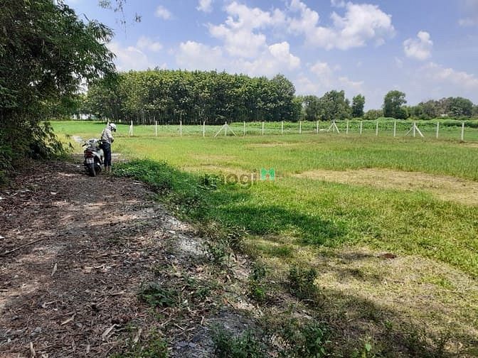 Hình ảnh Cần bán đất 2 mặt tiền xã Trung Lập Thượng - Củ Chi