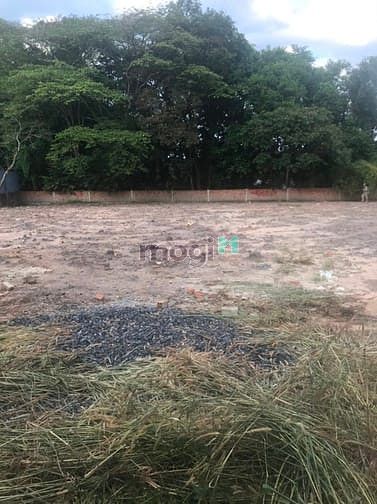 Hình ảnh Cần bán đất mặt tiền đường Tỉnh Lộ 15 - xã Phú Hòa Đông - Củ Chi