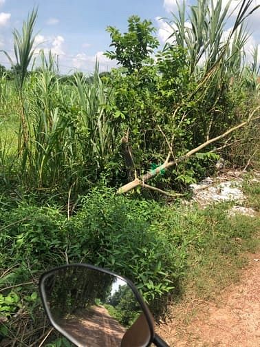 Hình ảnh Cần bán đất xã Phú Mỹ Hưng - Củ Chi