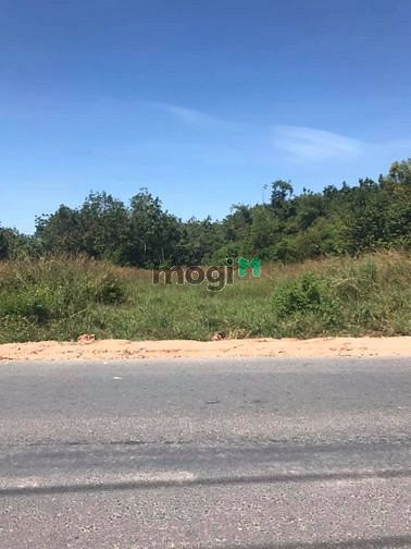 Hình ảnh Cần bán đất mặt tiền đường Bà Thiên - xã Nhuận Đức - Củ Chi